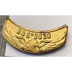 Harley Davidson HOG Pin 2020